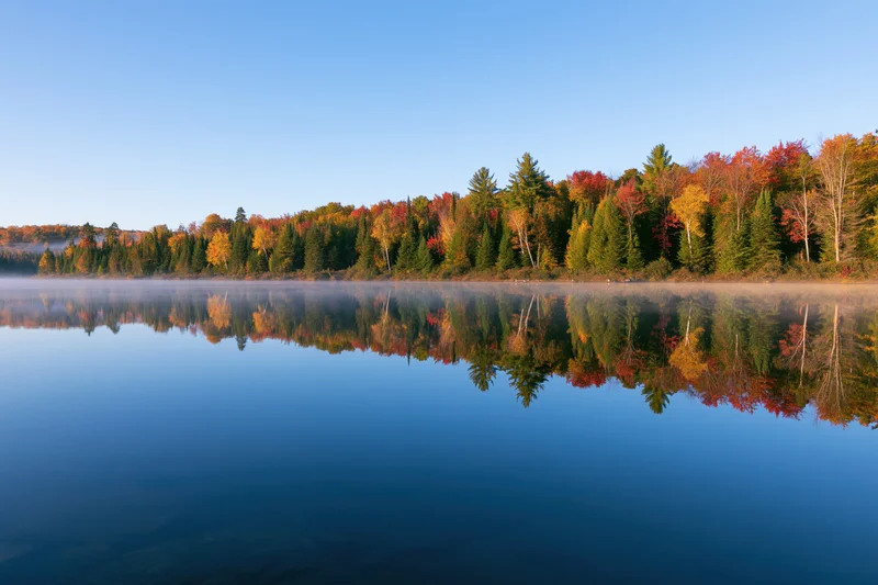 Calm lake reflecting autumn forest at dawn