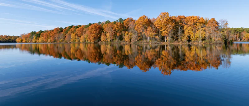 Calm lake reflecting dense autumn treeline along shoreline under clear blue sky