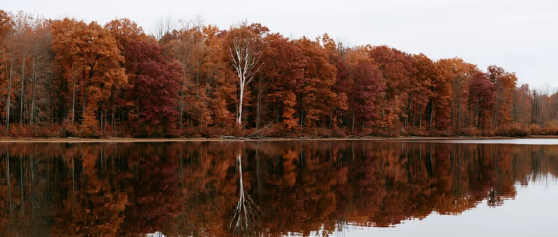 Calm lake reflecting dense treeline of peak autumn foliage along the shore