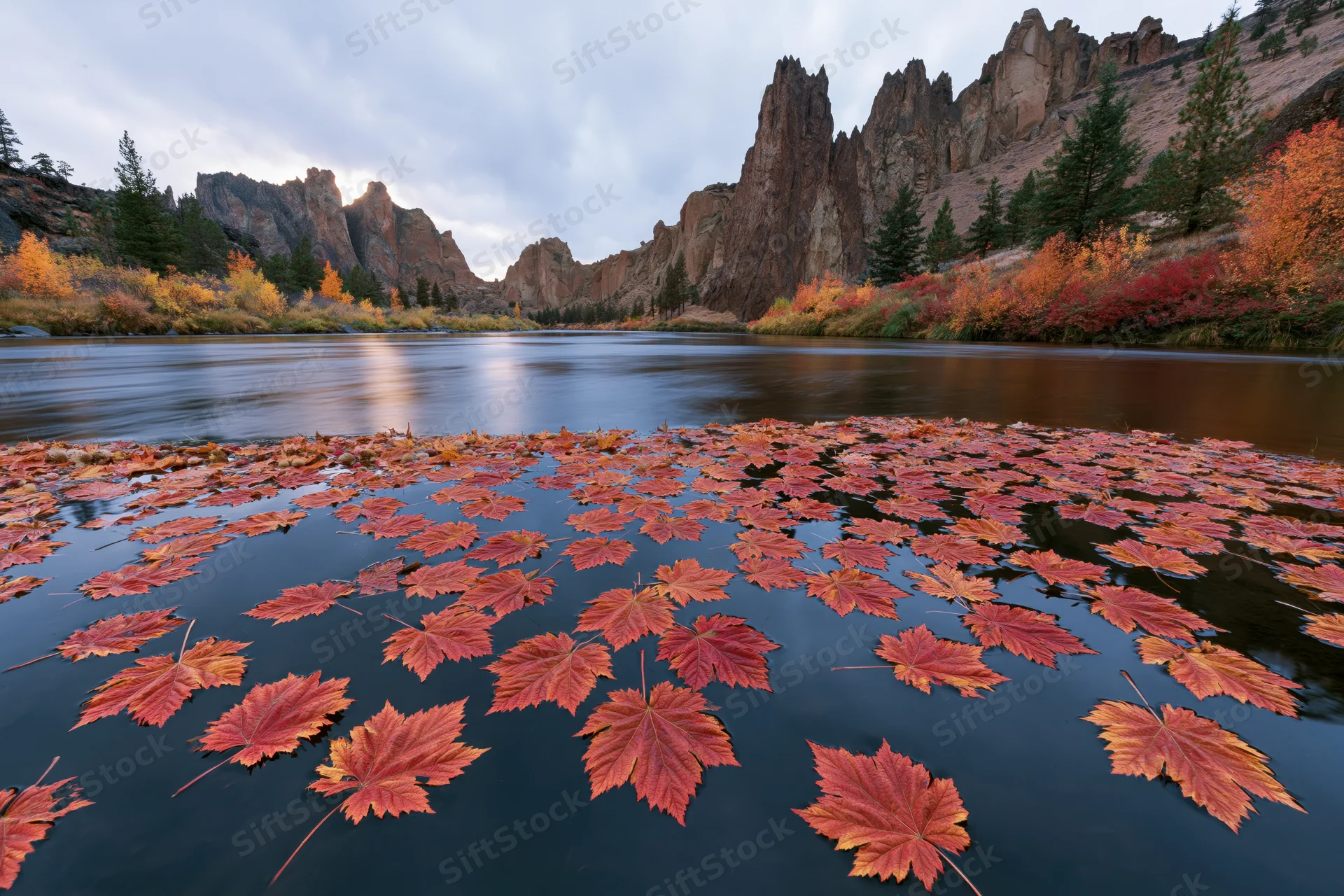Red and orange maple leaves floating on a calm mountain river surrounded by autumn forest and rocky cliffs