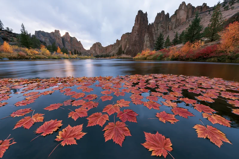 Red and orange maple leaves floating on a calm mountain river surrounded by autumn forest and rocky cliffs