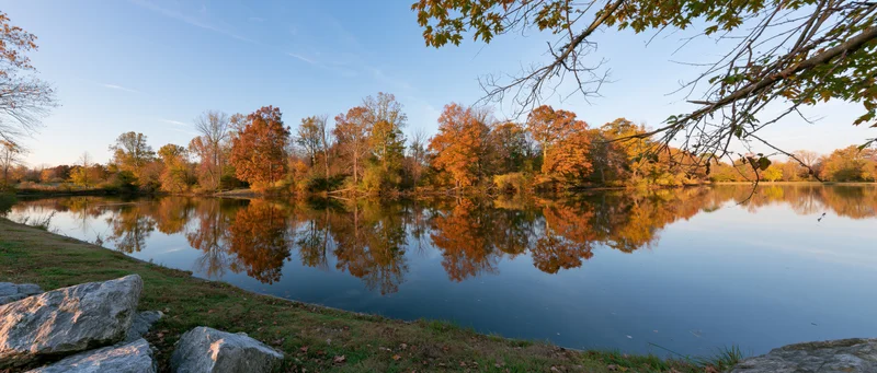 Calm pond reflecting autumn trees in a park landscape