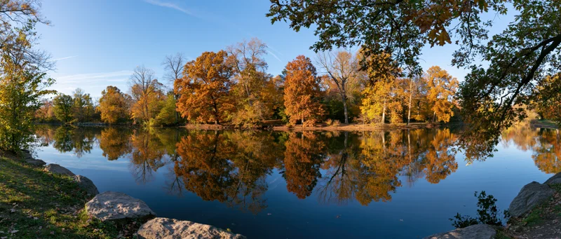 Calm pond reflecting autumn trees in a park setting