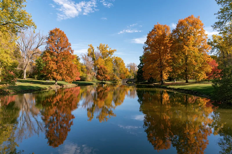 Autumn trees reflecting in calm park pond surrounded by green grass under blue sky