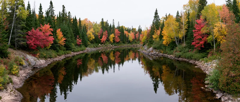 Calm river reflecting dense mixed forest in peak autumn foliage