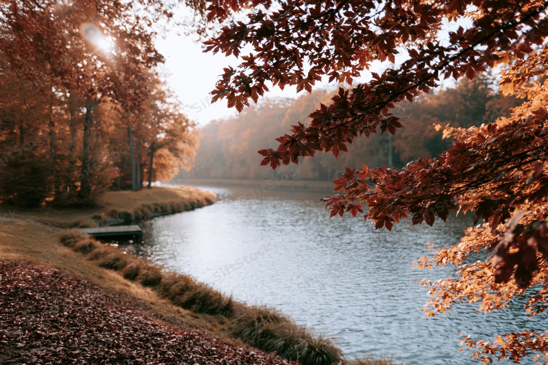 Calm river winding through autumn forest framed by overhanging branches with golden foliage