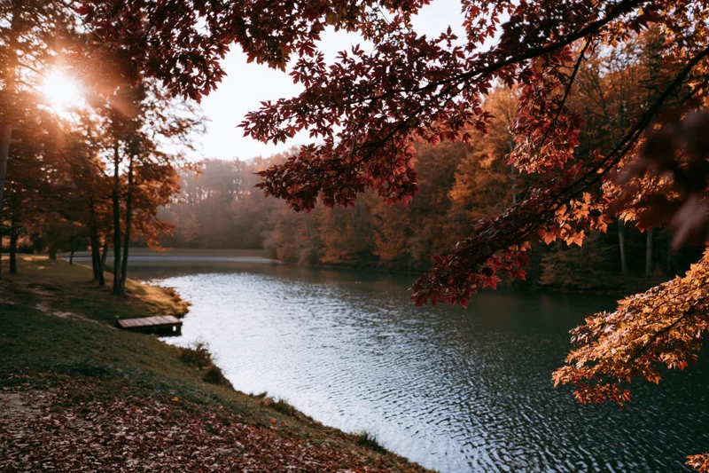 Autumn forest with calm river winding through trees, sunlight filtering through red leaves, grassy bank with bench near water