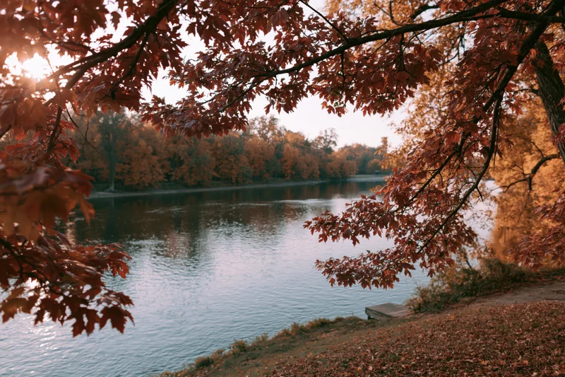 Autumn trees framing a calm river at dusk in a forested park