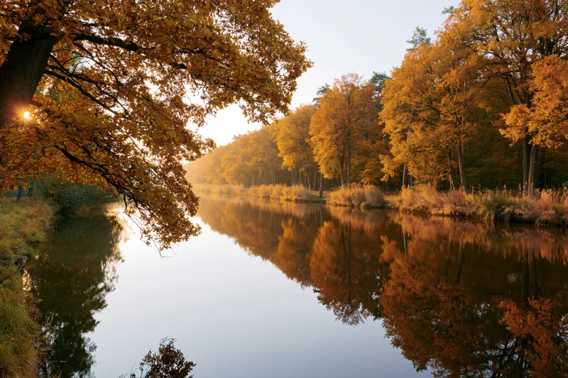 Calm river reflecting golden autumn trees along forested banks