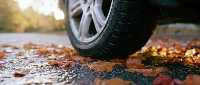 Car tire with alloy wheel resting on wet asphalt covered in fallen autumn leaves