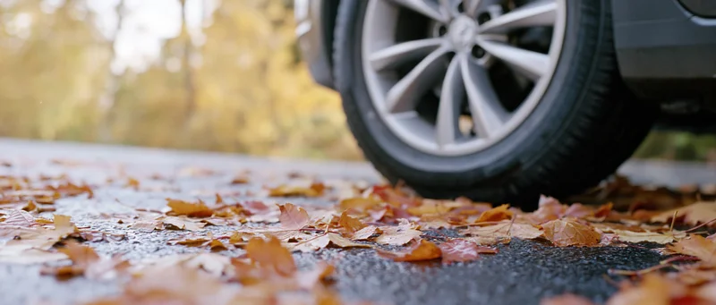 Car tire and alloy wheel resting on wet asphalt covered in autumn leaves