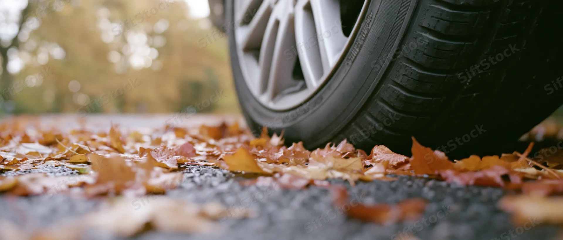 Car tire resting on wet asphalt covered in fallen autumn leaves