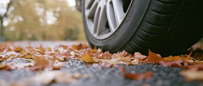 Car tire resting on wet asphalt covered in fallen autumn leaves
