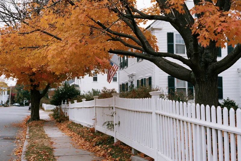 Autumn maple tree with orange leaves beside white picket fence and colonial house on residential street