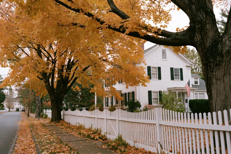 White colonial house with green shutters and american flag behind autumn maple tree on residential street