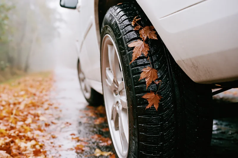 Close-up of a wet car tire with fallen autumn leaves stuck to it on a leaf-covered road