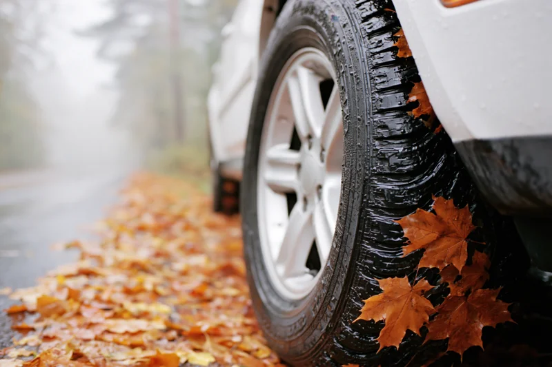 Wet car tire with autumn leaves stuck to it on a rainy road