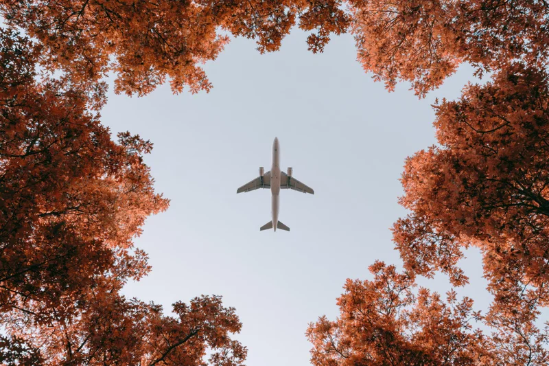 Airplane flying overhead seen through autumn trees from below