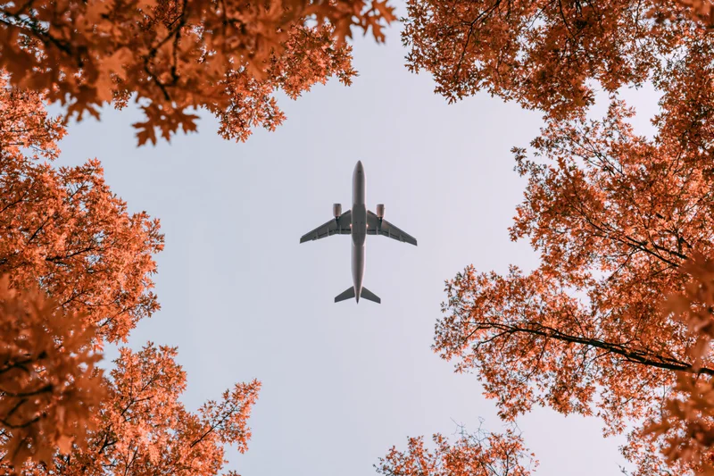 Commercial passenger jet flying overhead framed by autumn trees