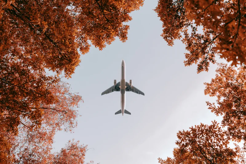 Airplane flying overhead seen through autumn trees framing the sky