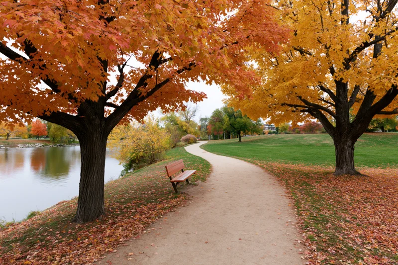 Curved path winding through a park lined with autumn trees beside a lake