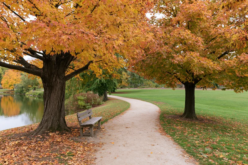 Curved path winding through a park lined with autumn trees beside a lake