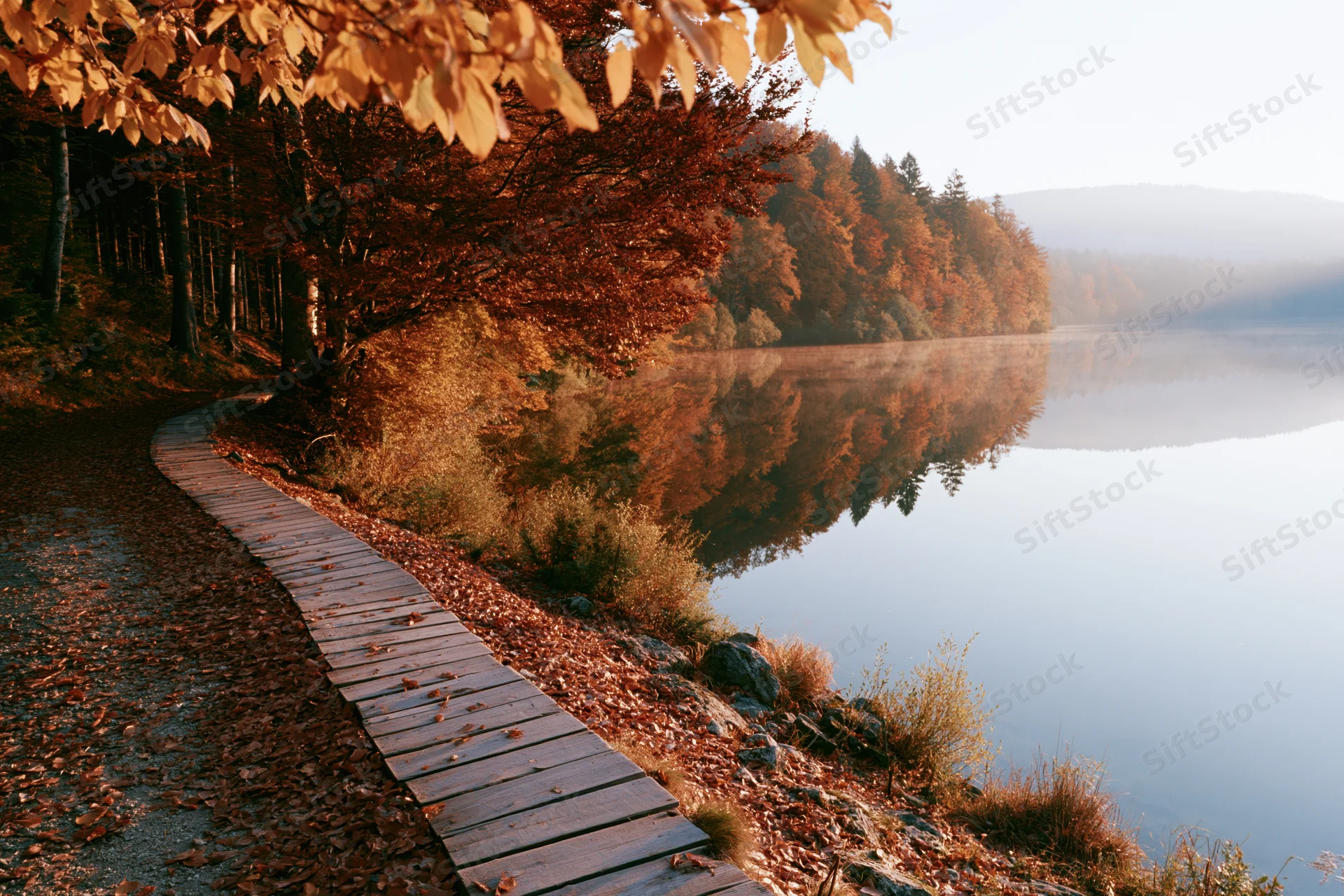 Curved wooden path along calm lakeside in autumn forest