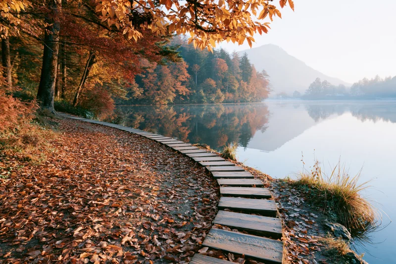 Curved wooden stepping stone path along calm lakeside in autumn forest