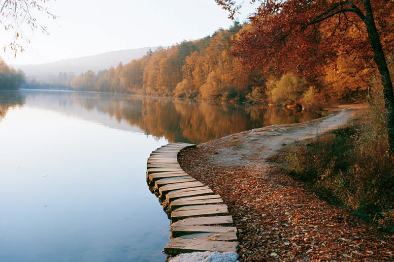 Curved wooden stepping-stone path along calm lakeside in autumn forest
