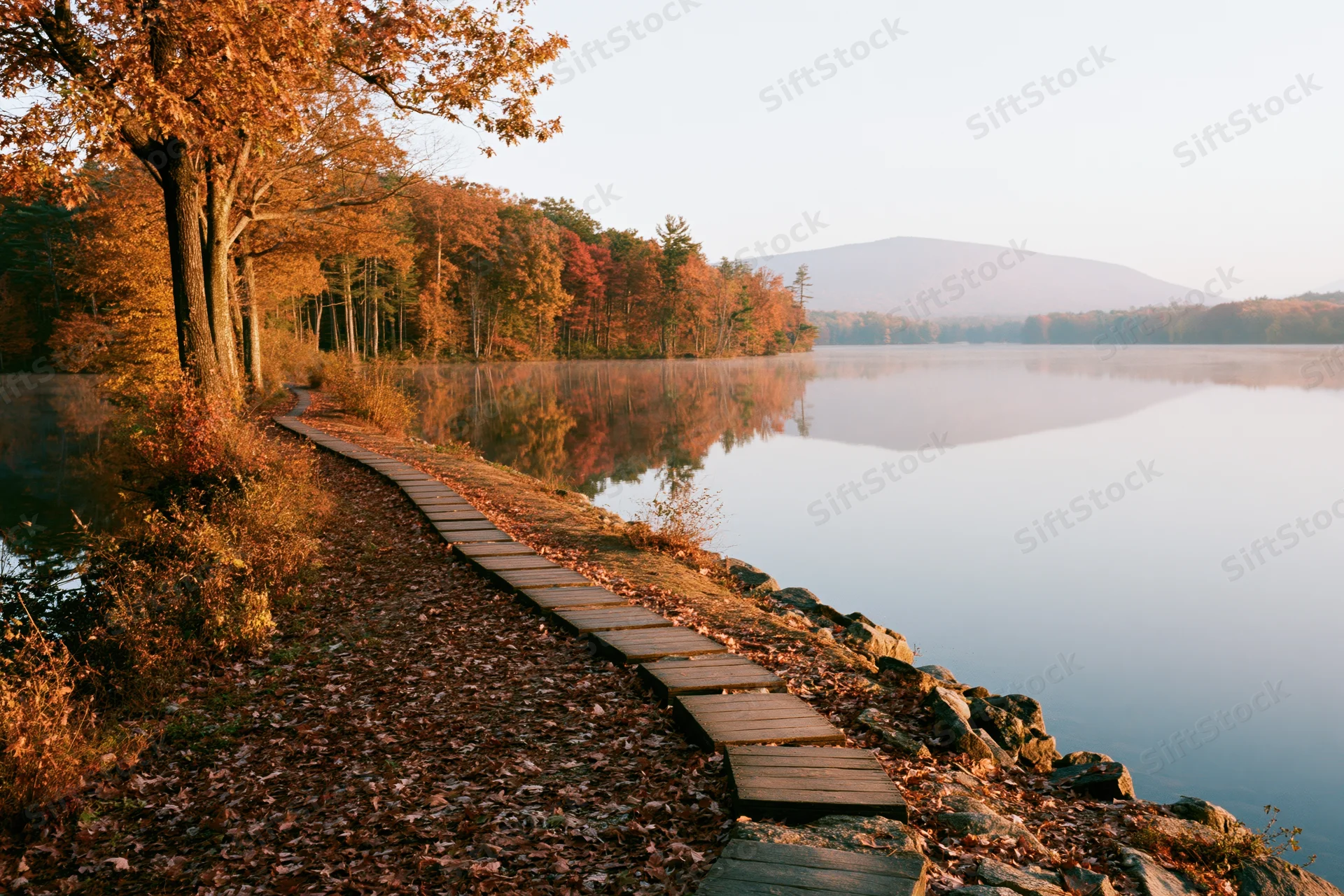 Wooden stepping stone path along calm lake shore in autumn forest