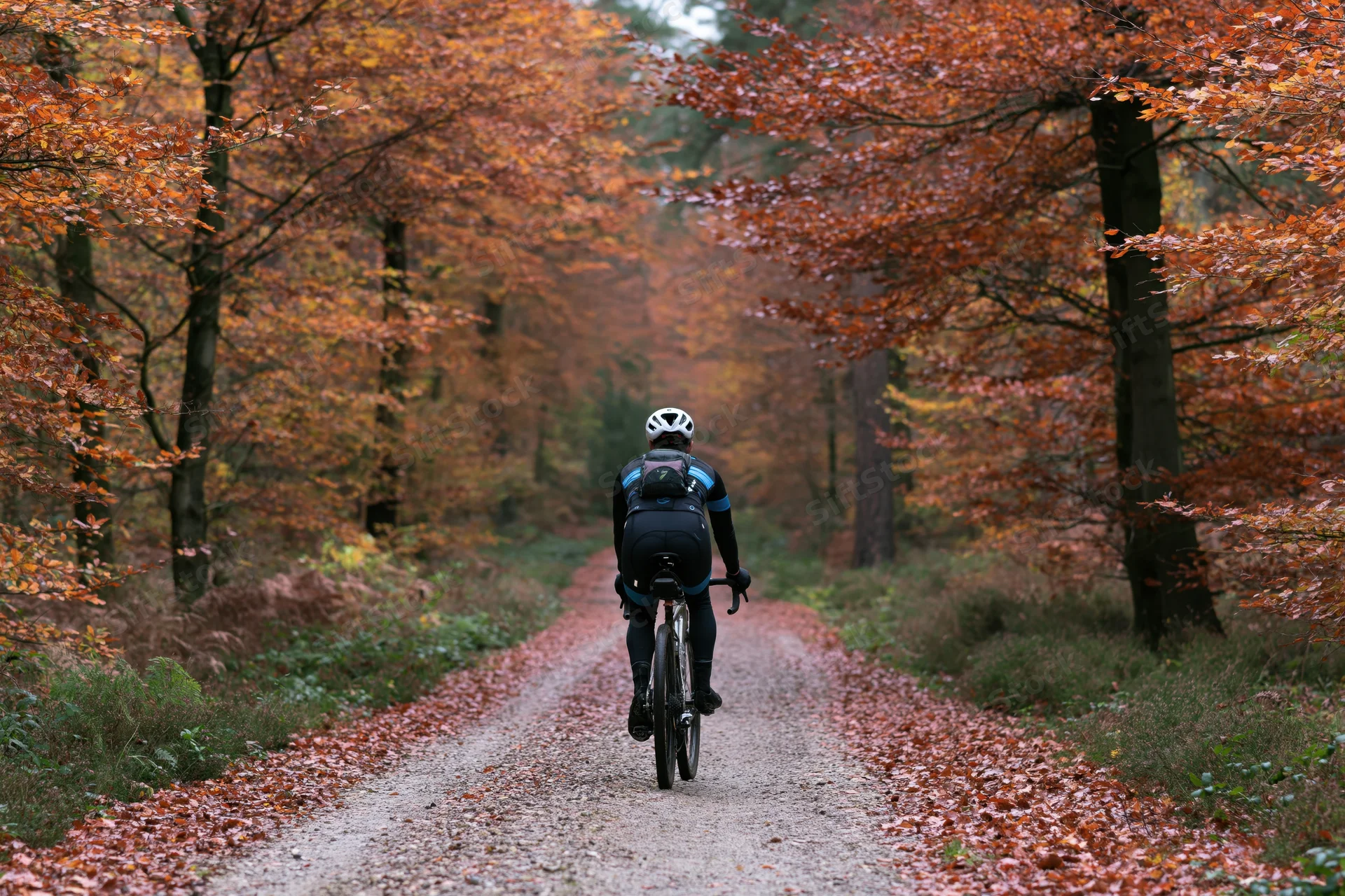 Cyclist riding away on gravel path through autumn forest