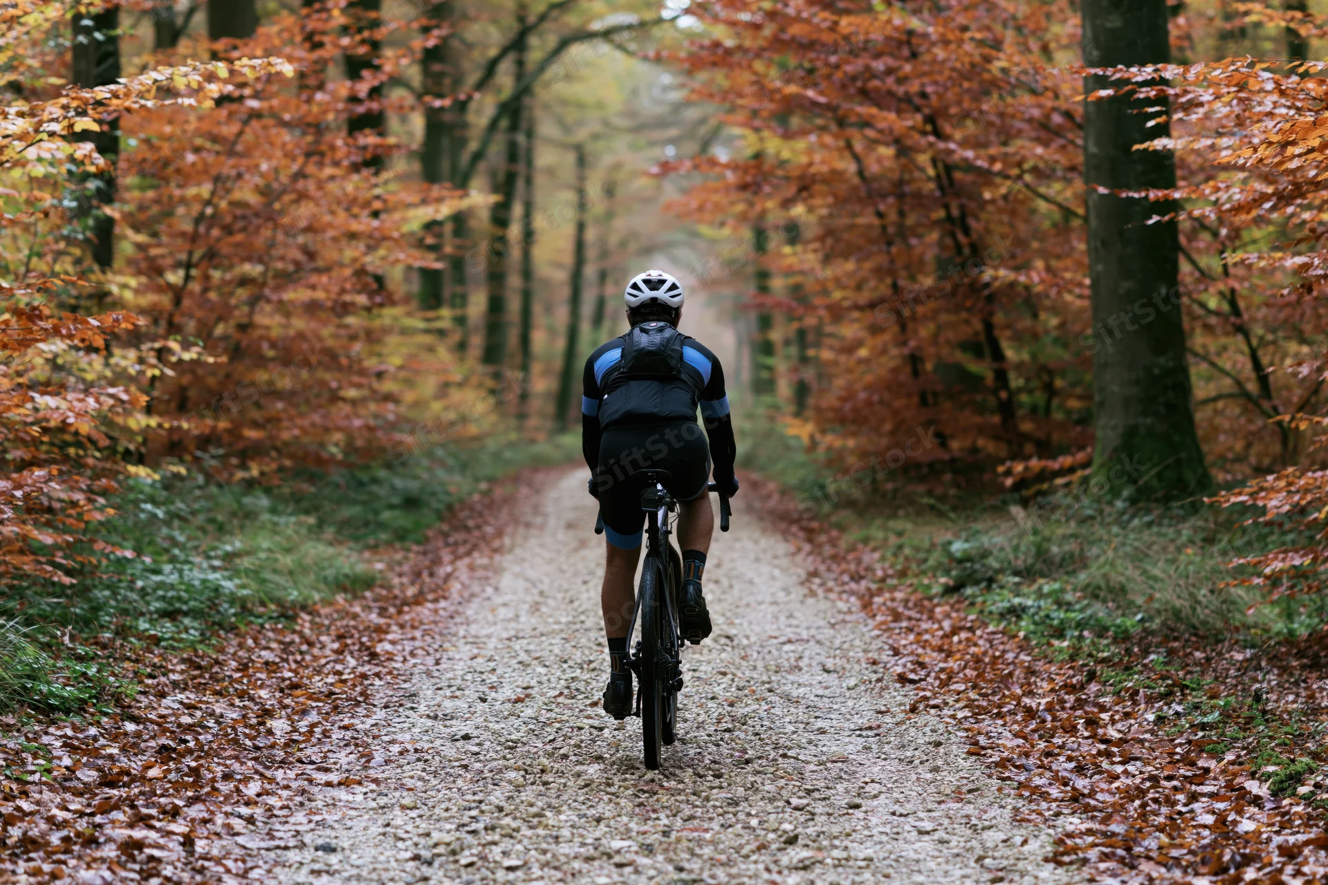 Cyclist riding away on gravel path through autumn forest