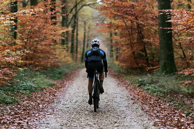 Cyclist riding away on gravel path through autumn forest