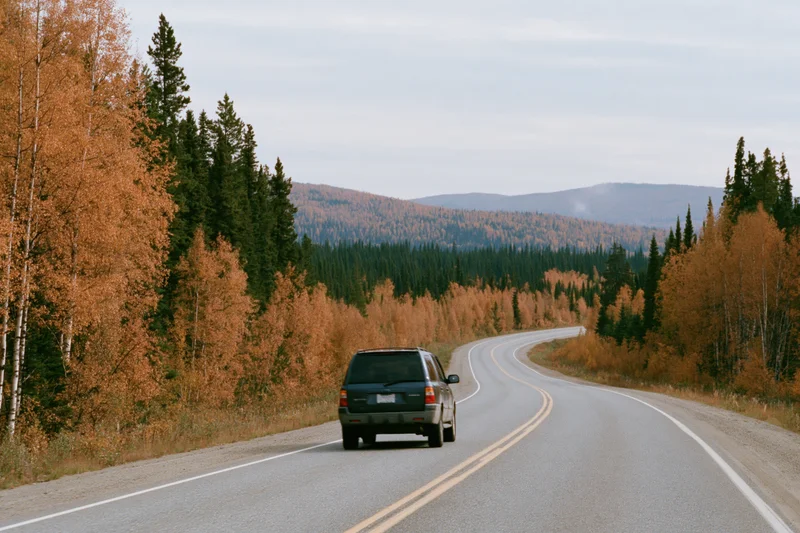 Dark SUV driving away on winding two-lane highway through autumn forest