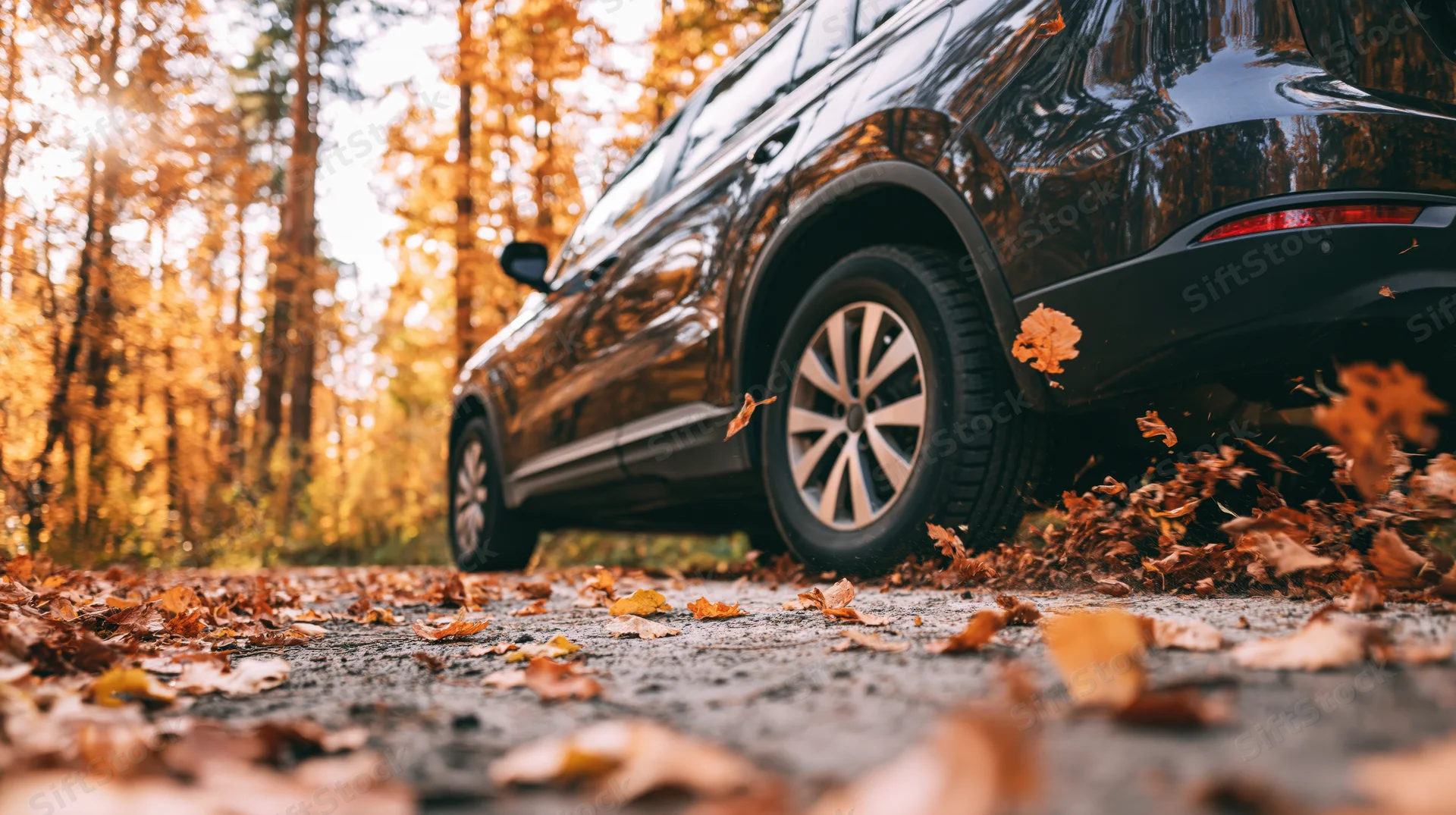 Black suv driving on forest road kicking up autumn leaves