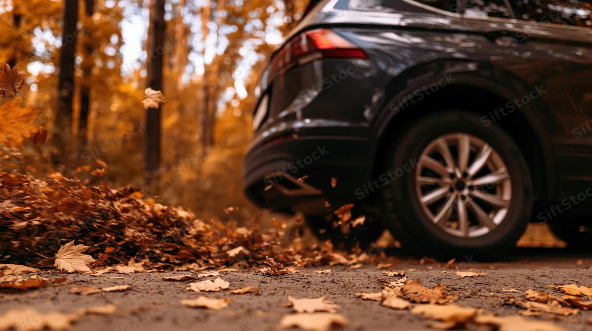 Dark suv driving on forest road kicking up autumn leaves
