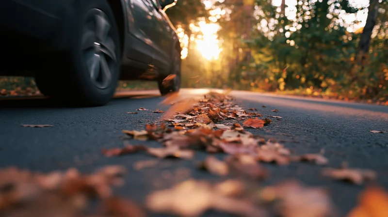 Dark suv driving at speed on leaf-covered asphalt road at sunset