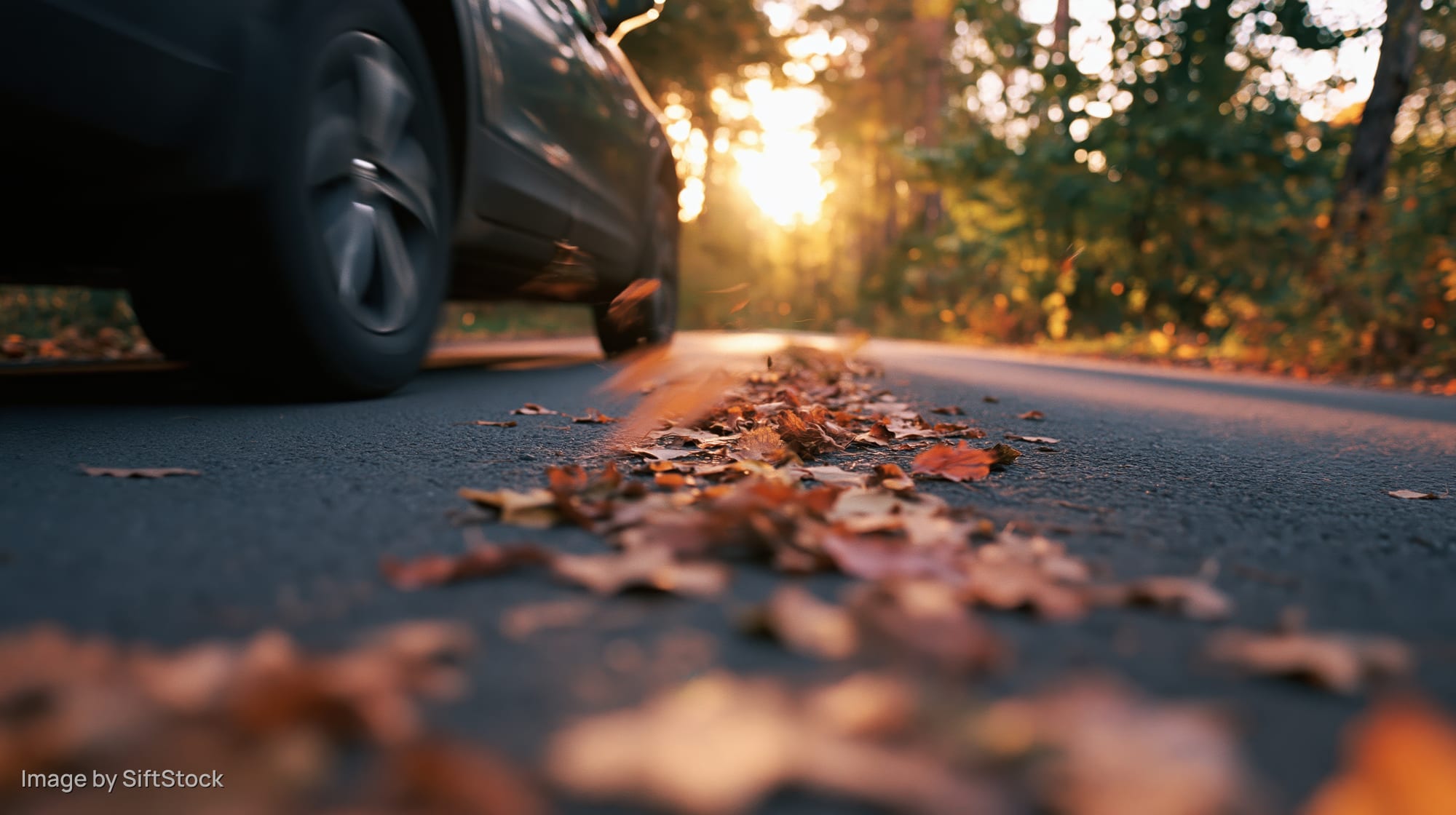 Dark suv driving at speed on leaf-covered asphalt road at sunset