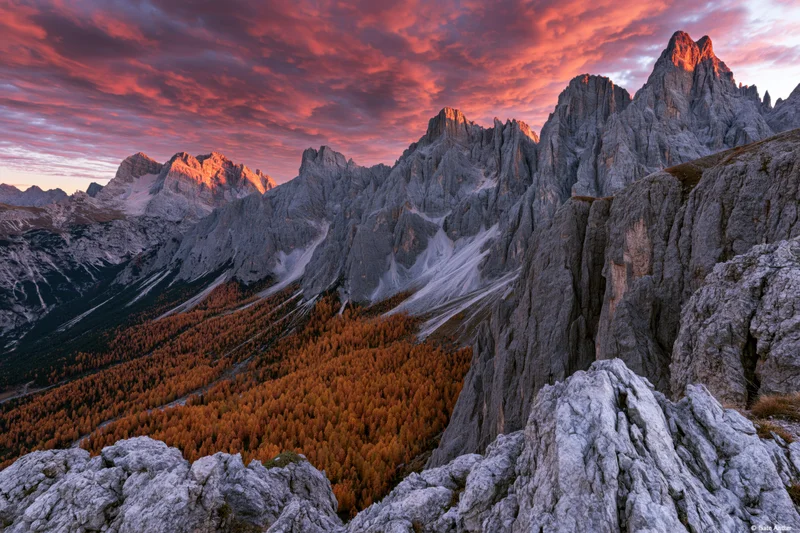 Massive limestone peaks of the dolomites at sunset overlooking an autumn valley with orange larch forest