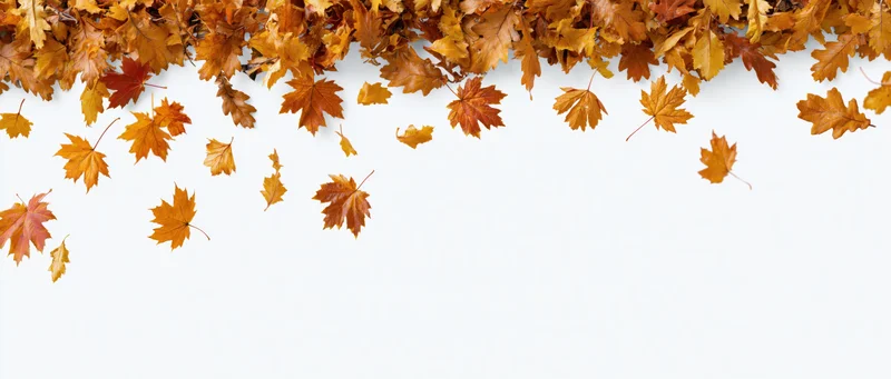 Autumn leaves falling from the top edge against a white background with copyspace below