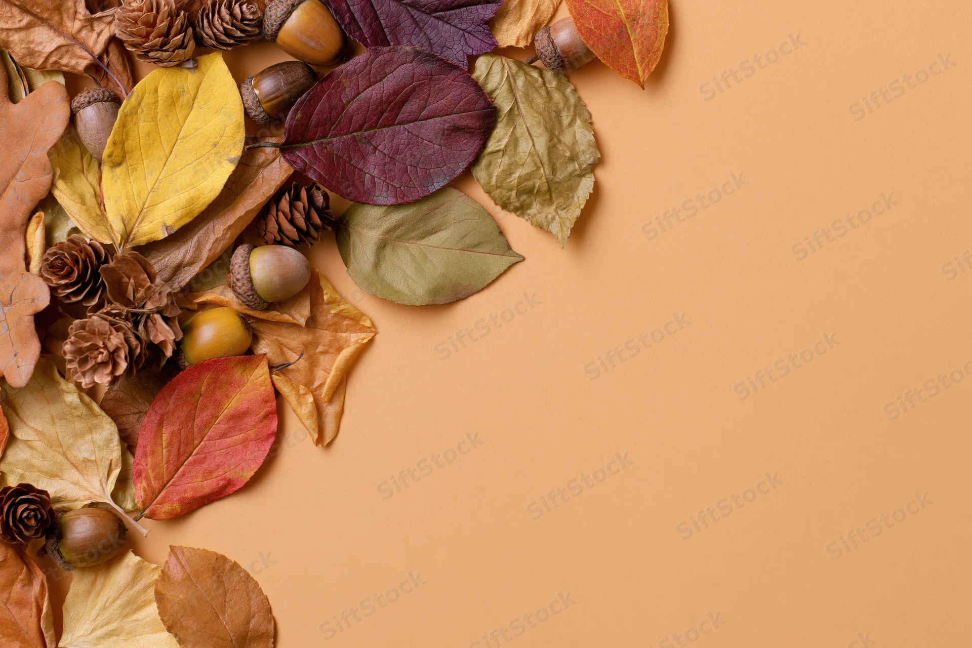 Dried autumn leaves acorns and pinecones arranged in corner on warm orange background with copyspace