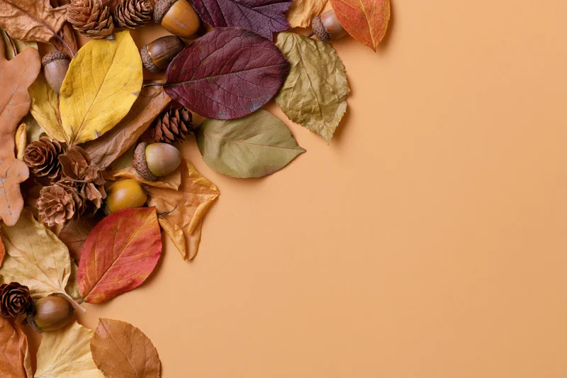 Dried autumn leaves acorns and pinecones arranged in corner on warm orange background with copyspace