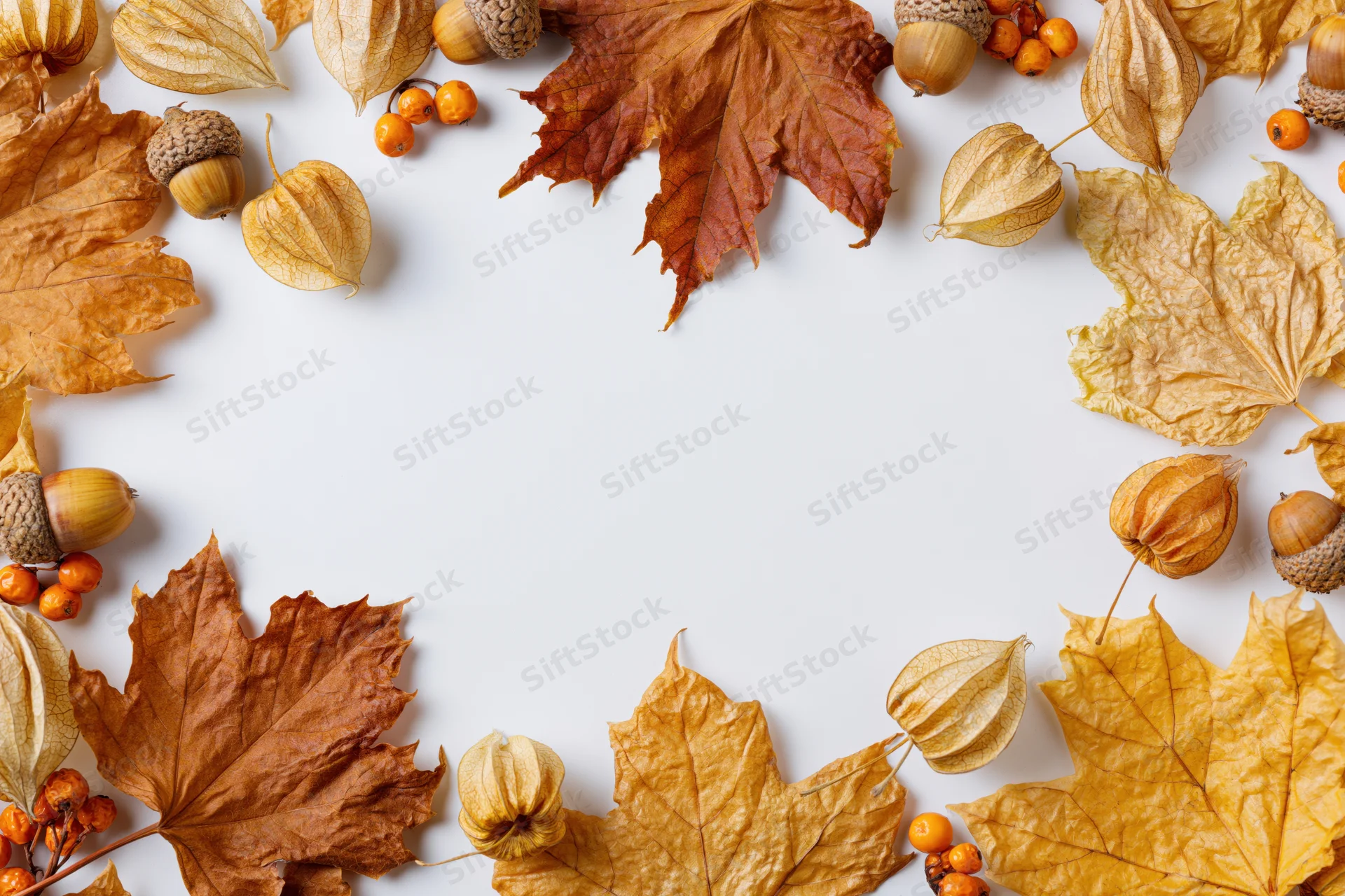 Dried autumn leaves and acorns arranged in a border around white copyspace
