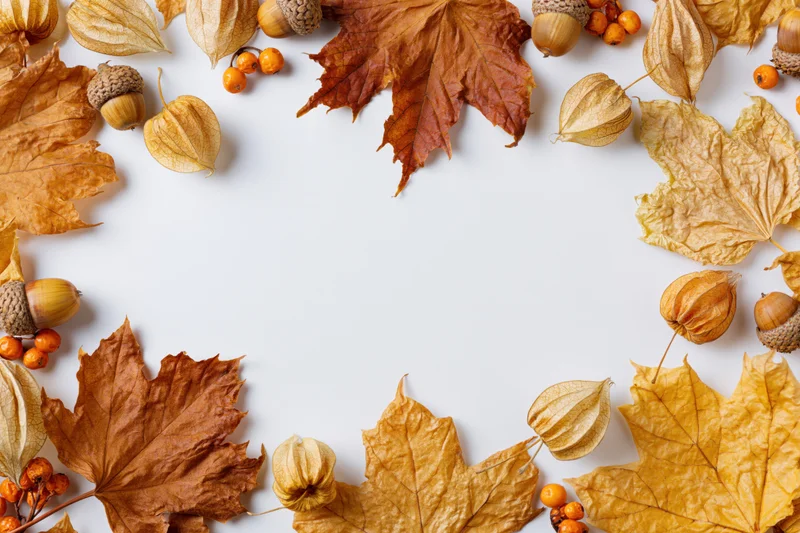 Dried autumn leaves and acorns arranged in a border around white copyspace