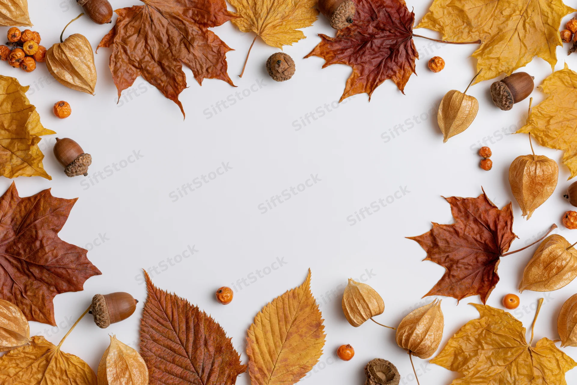 Dried autumn leaves acorns physalis pods and small orange berries arranged in a border around white copyspace