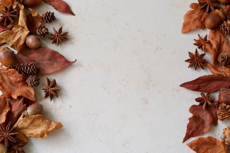 Dried autumn leaves acorns star anise and pine cones arranged in border on textured surface with copyspace