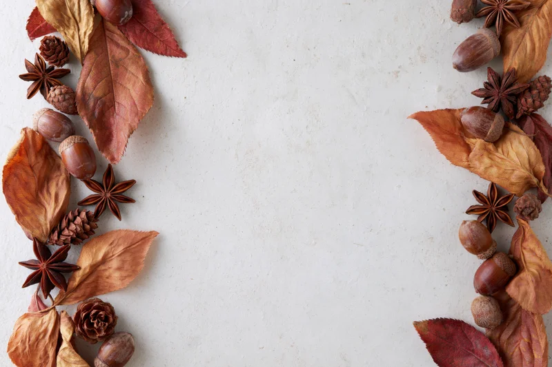 Dried autumn leaves acorns star anise and pine cones arranged in border on white surface with copyspace