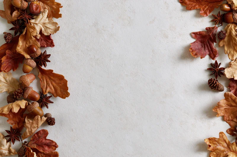 Dried autumn leaves acorns star anise and pine cones arranged in border on textured white surface