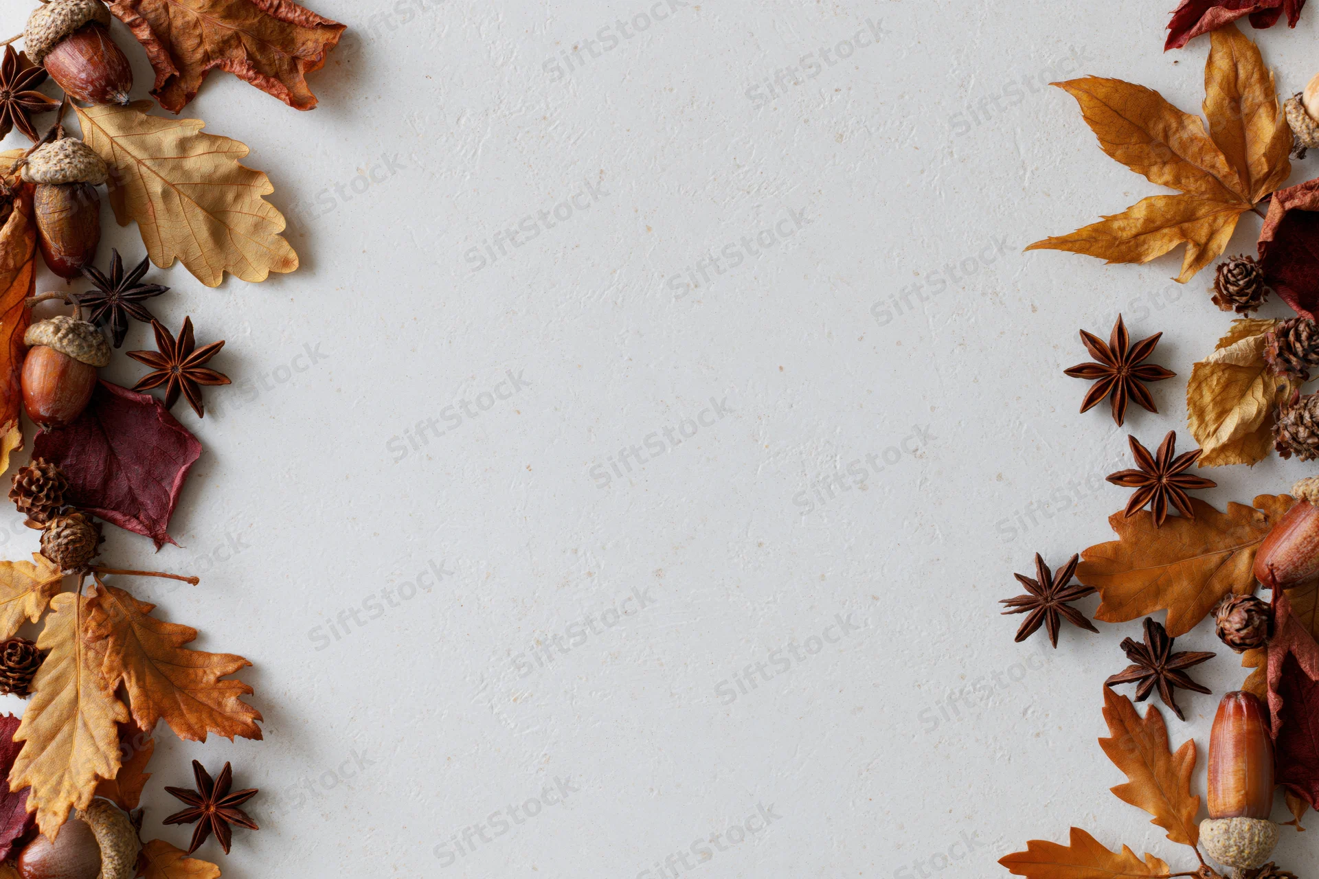 Dried autumn leaves acorns star anise and pine cones arranged in border on white surface with copyspace
