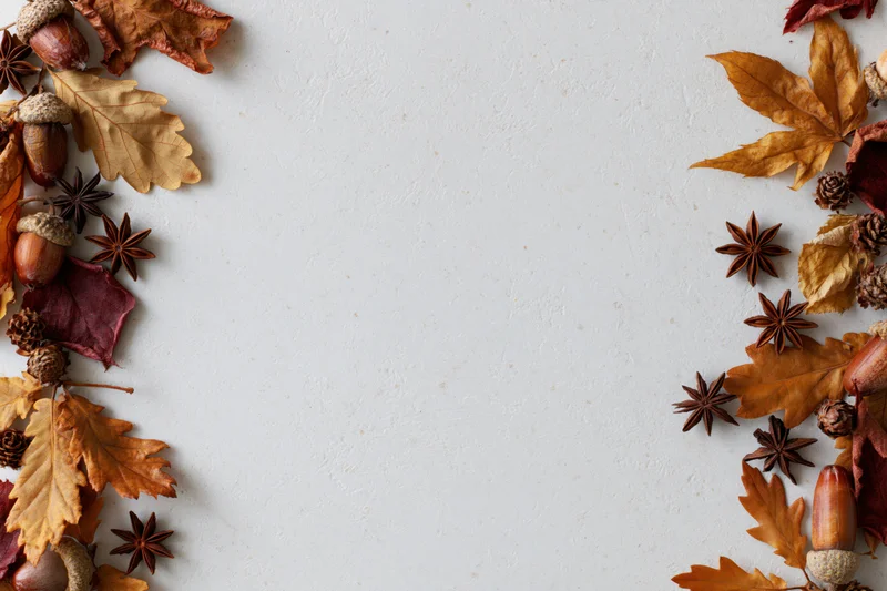 Dried autumn leaves acorns star anise and pine cones arranged in border on white surface with copyspace